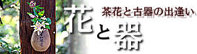ԂƊ